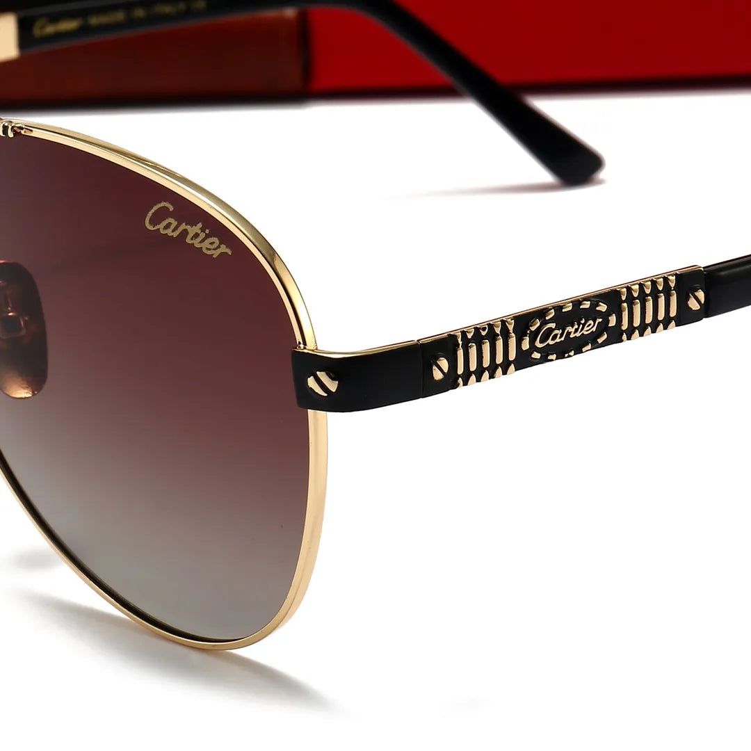 Classic Cool Polarized Metal Sunglasses